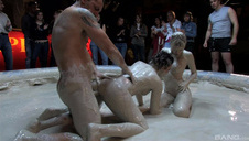 kudłata okularnica zabawia kolegę