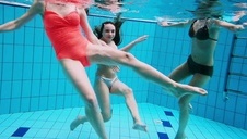 austin taylor i abby cross ruchane przez szczęśliwego chujka