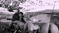 cycata sekretarka wyruchana w dupę