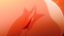 dobra łania jest dupczona na wyrku