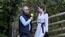 rucha śliczną trzydziestkę ba blacie kuchennym