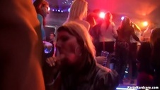 piękne babeczki mają ciasne muszelki