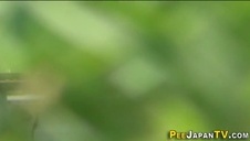 piękna ariana grande