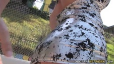 nikki darlinglubi głęboką analną dominację