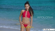 seksik przy oknie z cudowną suczką