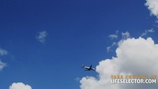 ostra kocica z różowym dildo