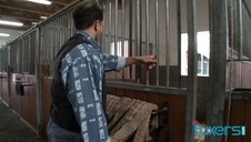 seksowna monica breeze na dwa baty