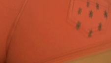 perfekcyjnie wylizał jej cipcię