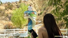 młoda roztańczona sucza