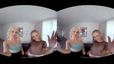 włochata pipka na kuchennym blacie