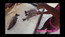 delektują się złotym nektarem i sikają która dalej