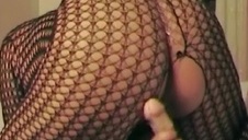 one lubią się ocierać