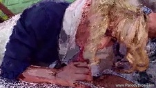 seks trójkąt w basenie