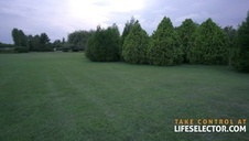 seks na fotelu z niegrzeczną suczką