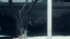 blond kobieta lubi czekoladowe sprzęty