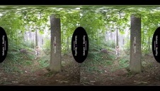 lesbijki szukają partneró