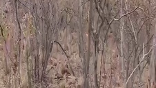 seks ze wspaniałą na kanapie pod gołym niebem