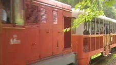 studentka obrabia staremu gościowi pałkę