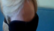 znany ogier wyruchał ostro sarę