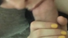 cycolina ostra blondi