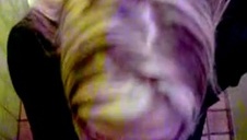 krzyczy podczas jebania