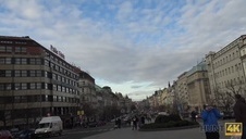 blada ruda laska sama wskoczyła na pałkę