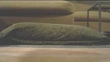 przed pierwszym analem trzeba dobrze possać