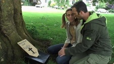 seks czworokąt na masce samochodu