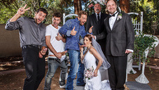 mają ochotę zabawić się w kotka i myszkę