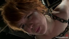 ruchanie murzynki na pieska