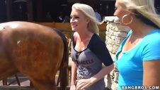 sexy dziwka rucha się z klientem