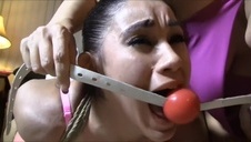 ruda suczka liże mu jajka