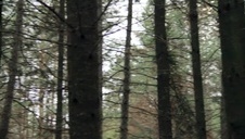 murzyni z seks koleżankami w czworokącie