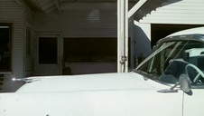 lubi grzać ją po piździe kiedy jest ładna pogoda