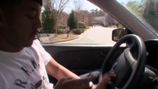 piękne suki w wodzie