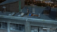 laska z dużym fjutem