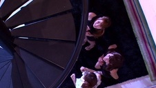 cycata mulatka cięta w dupę