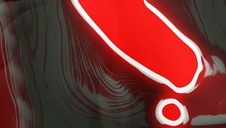 puszysta suczka bawi się w wannie