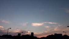 harda ździra zgarnięta z ulicy