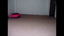 nauczycielka z wielkim d