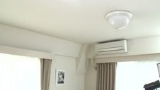 suczka z różowym wibratorem