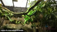 blondynka wycałowała wysportowanego faceta