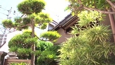 laska robi sobie dobrze na przystanku