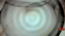 trzy suki obciągają część 2