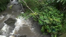 analne blondynki w porno trójkącie