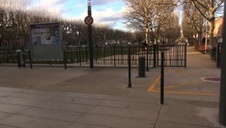 ruchanie cipy na pieska