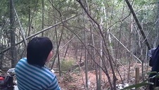 liże dojrzałą cipkę azjatki przez majtki