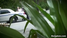 gotowa na dwa kutasy