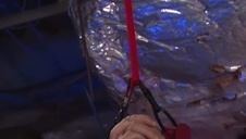 wielkie szparsko a w nim całe łapsko