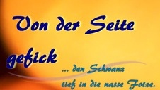 szach mat spuszczę ci się na cyce